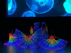  <a style='color: #fff;' href='/uploaded/photo/stell-art-show-6383bb988c8c8.jpg'>(Télécharger)</a>