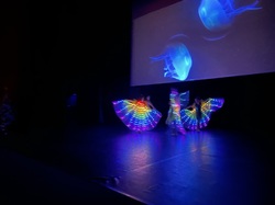  <a style='color: #fff;' href='/uploaded/photo/stell-art-show-6383bb997ff41.jpg'>(Télécharger)</a>