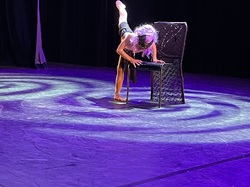  <a style='color: #fff;' href='/uploaded/photo/stell-art-show-6383bb9f06533.jpg'>(Télécharger)</a>