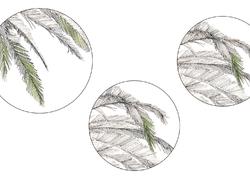  <a style='color: #fff;' href='/uploaded/photo/tableaux-presents-dans-le-tunnel-58d8f1b1ddf80.jpg'>(Télécharger)</a>